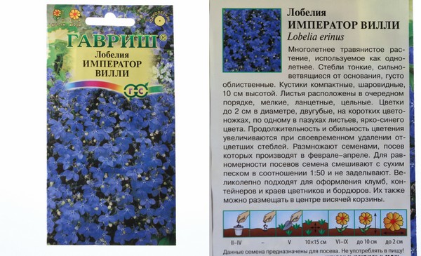 Схема посадки лобелии
