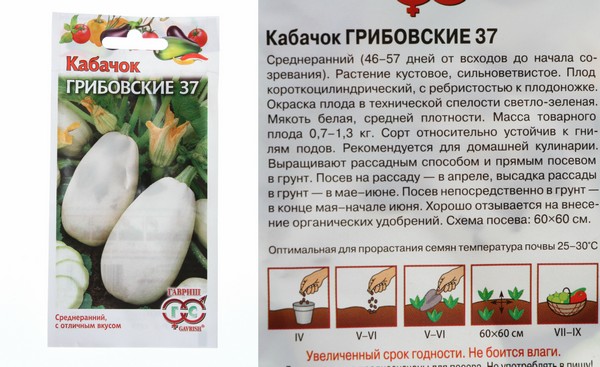 Схема посадки кабачок грибовский
