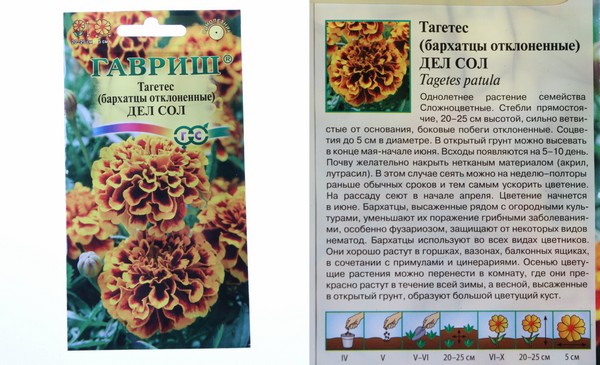 Бархатцы прямостоячие схема посадки