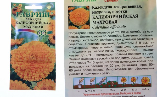 Схема посадки календулы