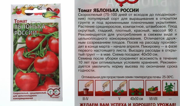 Знакомимся с томатом сорта "Яблонька России"