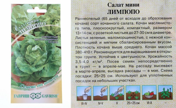 Схема посадки салата кочанного салата