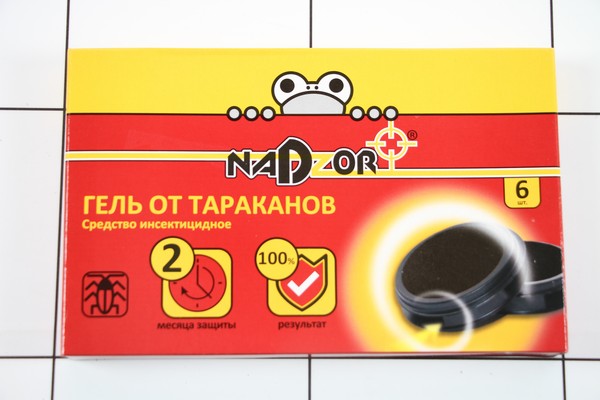      6 NADZOR /24 -  