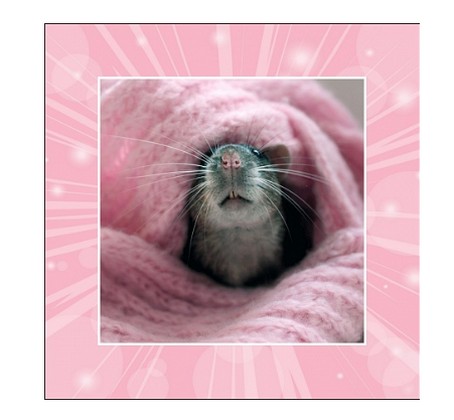 Антистрессовая подушка Мышата,  розовый плед 19асп10ив-3 - фото товара