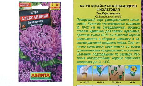 Семена Вологда Купить