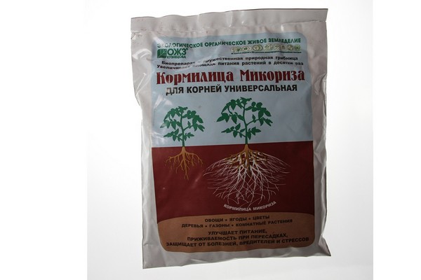 Микориза Купить В Минске Для Огурцов