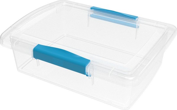    Laconic mini   1, 25 2493 /16 -  