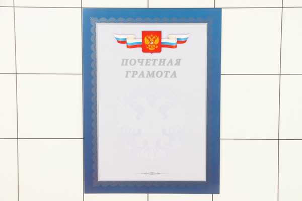 Грамота почетная А4 серебро Российская символика Г4 01001 - фото товара