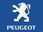  PEUGEOT 307 ()