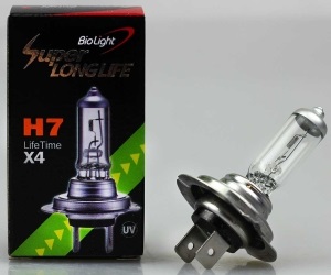  H 7 (PX26d)  55W 12V, Super Long Life Clear Biolight Box